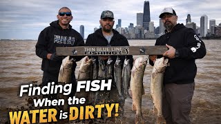 Don t Fish Blind Finding Clean Water More Fish Lake Michigan