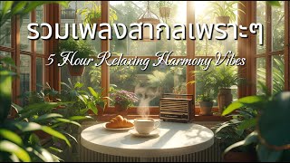 Harmony Vibes 5 H | รวมเพลงสากลเพราะๆ ฟังสบายสำหรับวันดีๆ 5 ชั่วโมง - Flow with Music