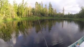 Whopper Plopper 130 Strikes Again