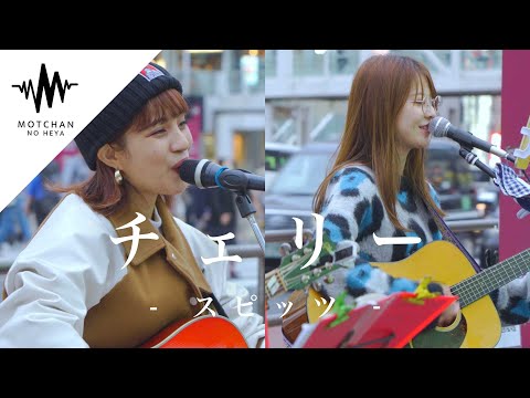 【歌うま】2人の作り出す空気感が聴いてる人たちをめちゃくちゃ楽しい気持ちにしていた!! チェリー / スピッツ （Covered By Aibry & 橋本桃子）