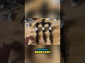 DIY Soft Wash System: Cheap Pro Parts for Max Bleach Control! #shorts