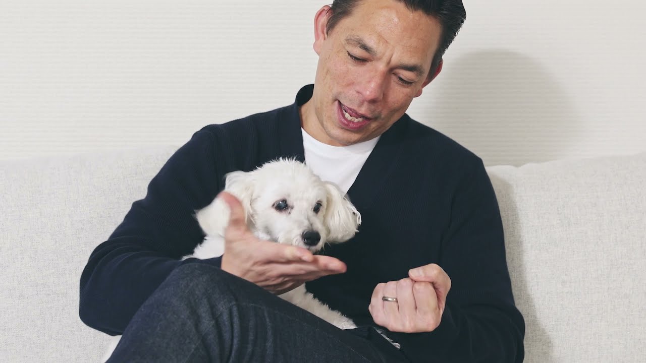 gugu ドギー 犬用ベッド グレー XSサイズ｜永久不滅ポイント・UC