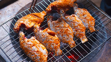 Giăng lưới trúng mẻ cá rô phi , ướp sa tế nướng chấm muối ớt chanh || ẨM THỰC MIỀN TÂY #1