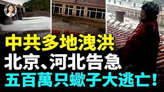 Download Lagu 涿州再遭洪水,多地民衆被水困屋裏,陝西金店被衝毀,上千萬首飾沒了!# 看大陸 MP3 Download Lagu 涿州再遭洪水,多地民衆被水困屋裏,陝西金店被衝毀,上千萬首飾沒了!# 看大陸 MP3