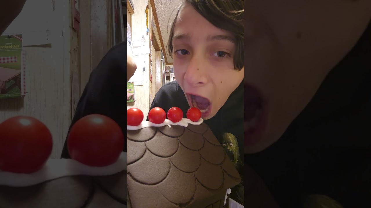 Oreo  gingerbread house part five