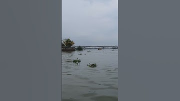 Cần Thơ Gạo Trắng Nước Trong; Ai Đi Đến Đó Lòng Không Muốn Về #shortsvideo #cantho