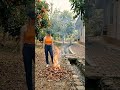 Peaceful Village Morning: Cleaning the Yard and Enjoying Fresh Fruits