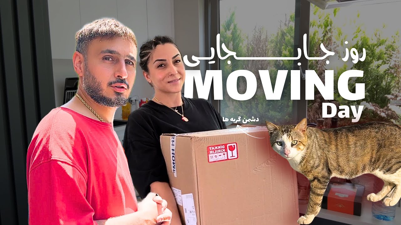 چیدن خونه جدید | دشمن گربه هارو پیدا کردیم! Moving Day