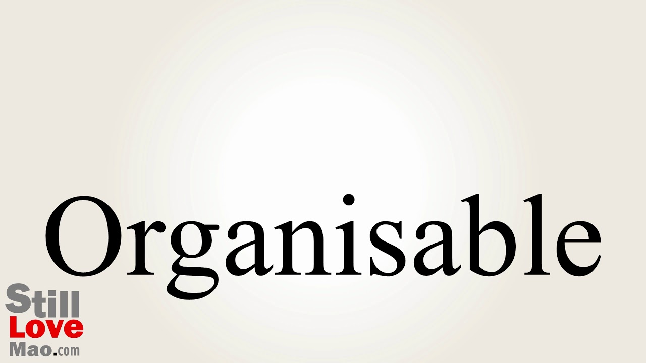 How to Say Organisable in Chinese