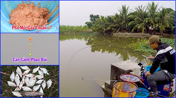 Câu Đài Nghiệp Dư ➣ Câu Trúng Ổ Cá Ham Ăn, Thả Mồi Xuống Là Giật