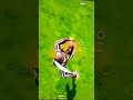 ألقم يا هطف 