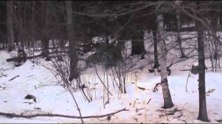 WC Video - 17 February 2012 - Behavioral Observations