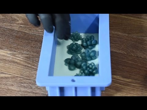 Succulent Soap Making | First Time Making Melt And Pour Soaps
