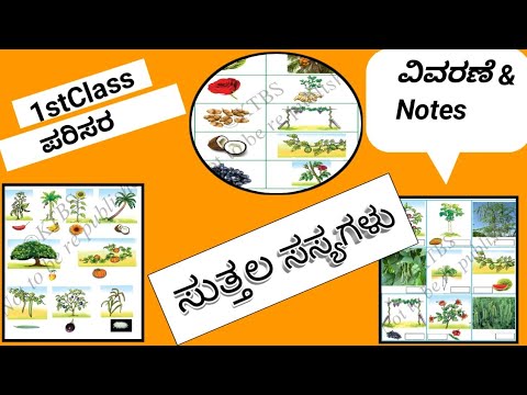 sutthalasasyagalu/parisara @GlobalNewsNetwork_GNN_kannada