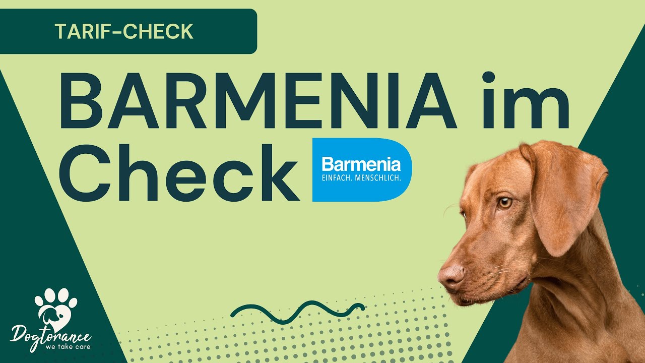 BARMENIA Hundeversicherung: LUXUS oder Lebensretter?