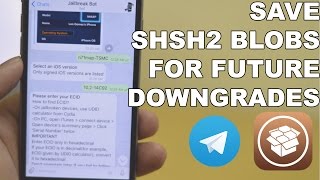 Prepare for iOS Downgrades - Save SHSH2 Blobs using Telegram (EASIEST WAY) screenshot 1