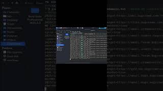 GoWitness Setup &amp; Usage Automated Web Screenshots for Kali Linux