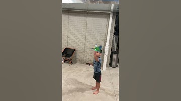 Let’s fly GoGo Bird #shorts #gogobird #flyingbirds #birds #toys #remotecontrol