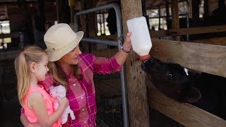 Dakin Dairy