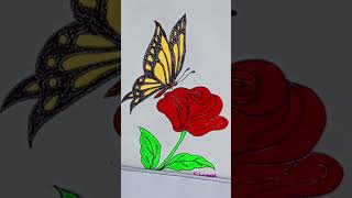 Beautiful Flower And Erfly