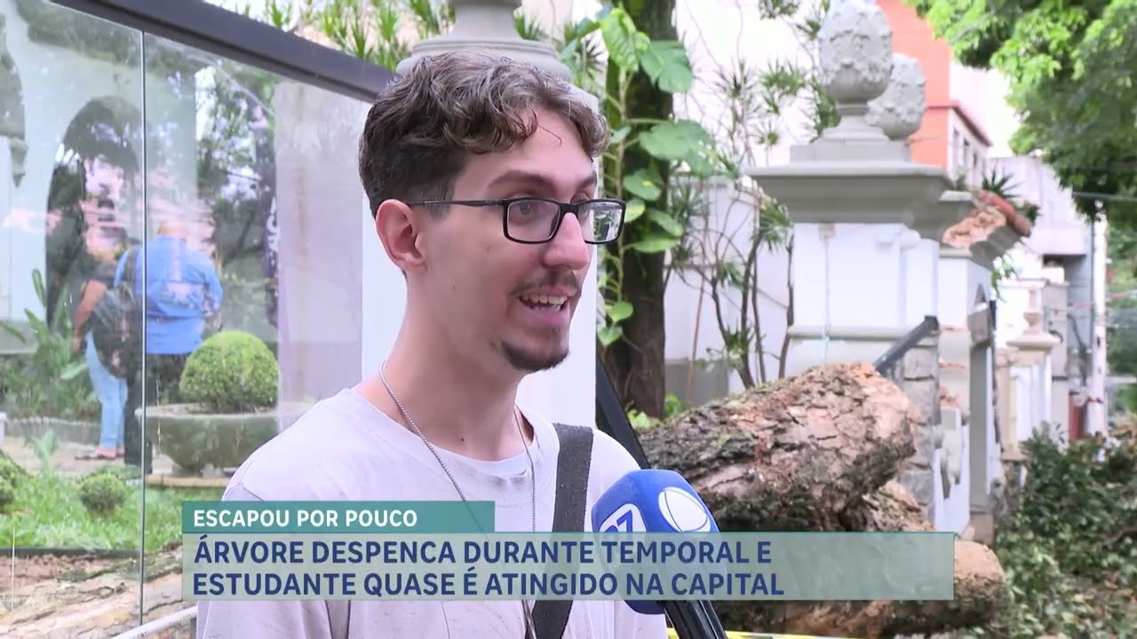 Temporal derruba árvore em Belo Horizonte, e estudante escapa por pouco
