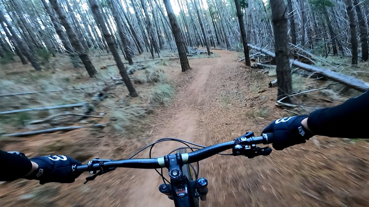 Majura Pines Mountain Biking (Rock Lobster trail) Mount Majura MTB 1440p 