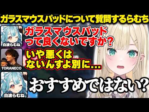 TORANECOコーチにガラスマウスパッドについて質問するらむち【胡桃のあ|ぶいすぽっ！】