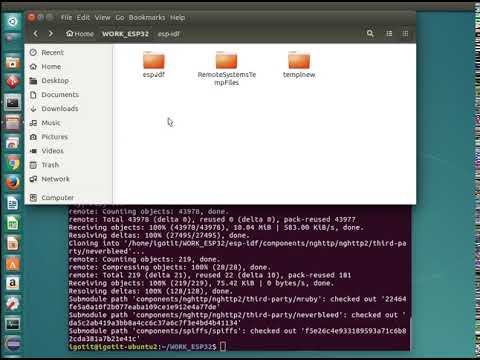 ESP IDF git clone  2