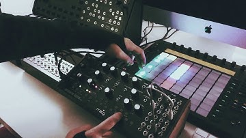 Modulating cutoff with LFO on Moog Mother-32 and Ableton Push