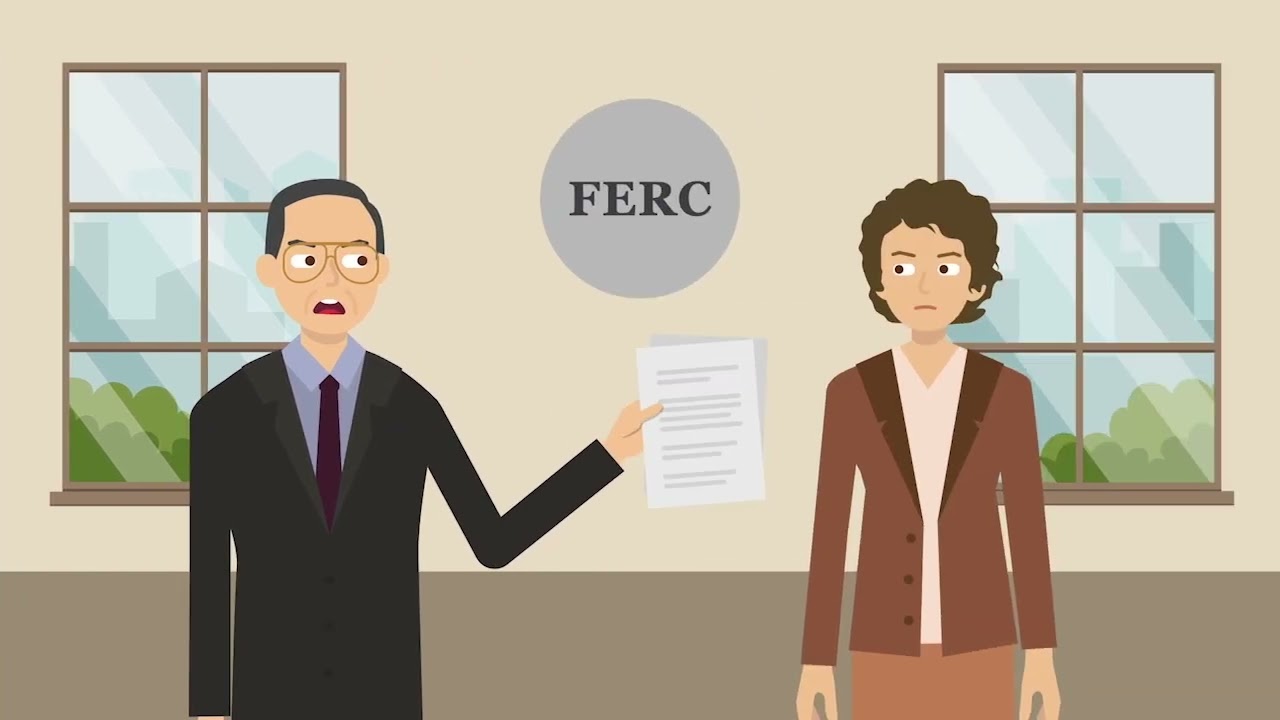 New York v. Federal Energy Regulatory Commission Case Brief Summary | Law Case Explained