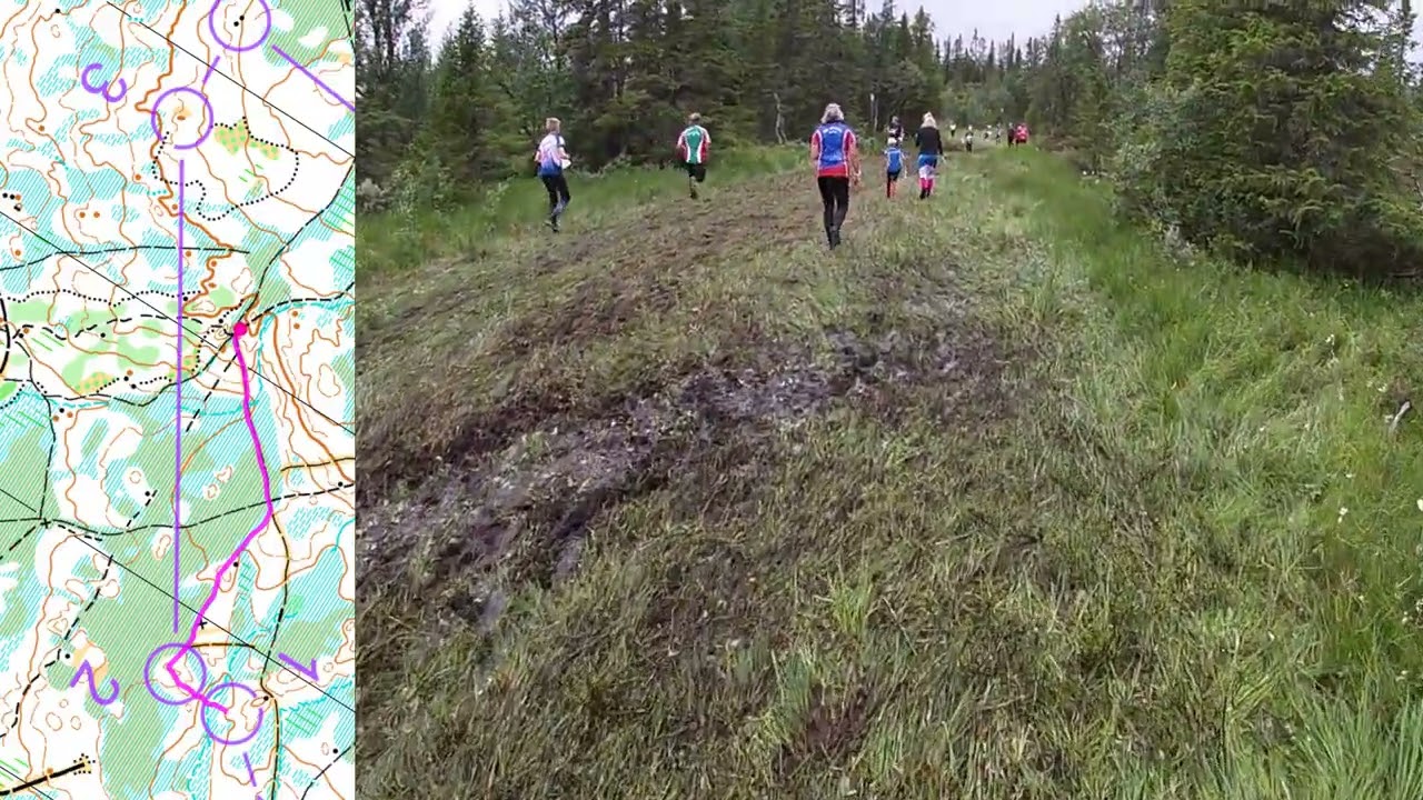 O-Ringen Åre, etapp 1, lång Trillevallen 2023-07-23 H70K