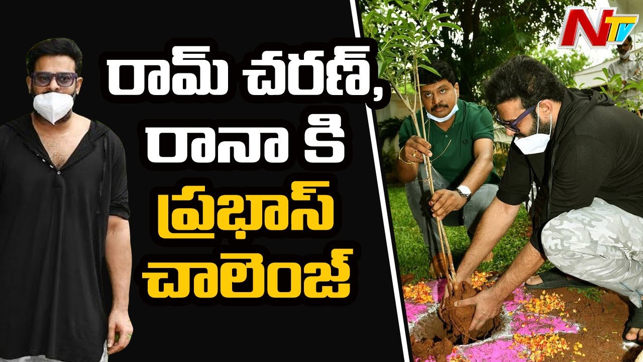 Hero Prabhas Accepted Green India Challenge and Nominated Ram Charan and Rana | NTV