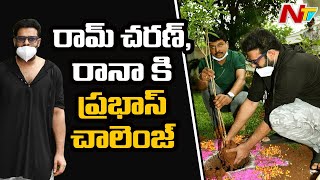Hero Prabhas Accepted Green India Challenge and Nominated Ram Charan and Rana | NTV