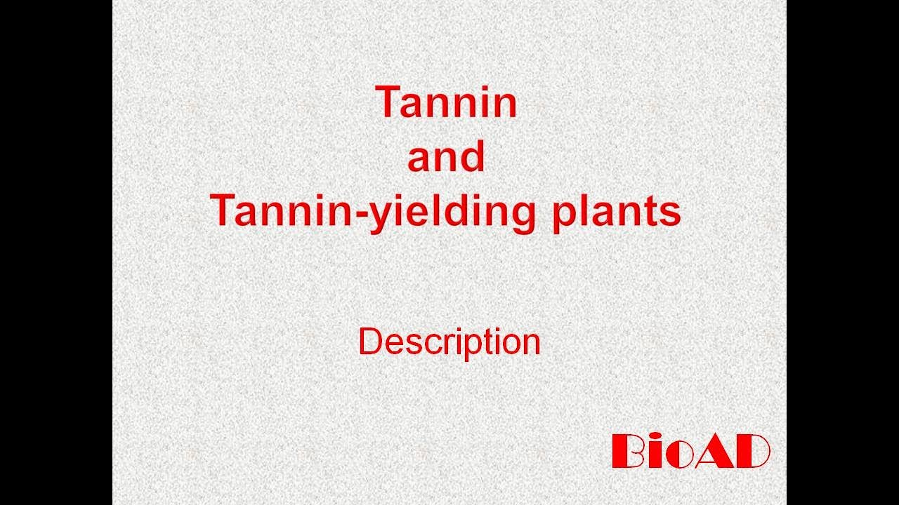 TanninBasic Introduction(HINDI) ! Secondary Metabolite !What are