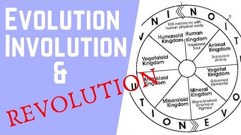 Evolution Involution & Revolution