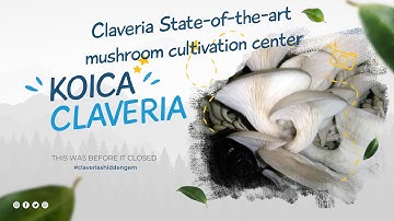 Claveria State-of-the-art mushroom cultivation center | @candidpicturestv