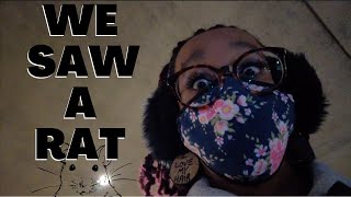 WE SAW A RAT…! | Washington D.C. Vlog