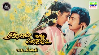 Ninaikka Therintha Maname   Kj Yesudas Ks Chithra S Janaki  Kamakodiyan  Hd  Jukebox