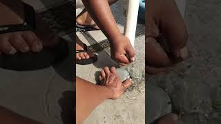 SEDOT WC / LIMBAH PENUH JOGJA 0838 4035 3596 #jogja #sedotwcmurah #shortvideo #sleman #bantul