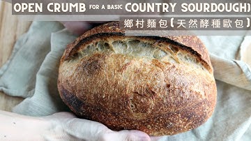 Open Crumb for a basic Country Sourdough | 鄉村麵包（天然酵種歐包）