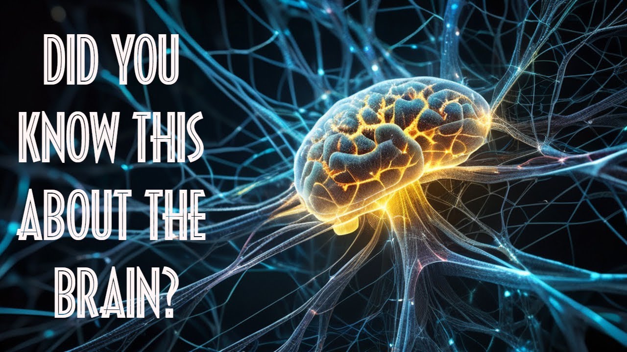 The Limitless Potentials of the Human Brain - YouTube