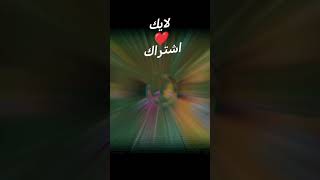 #عليلو #3lilo هل راحت علي عليلو 🤔😔