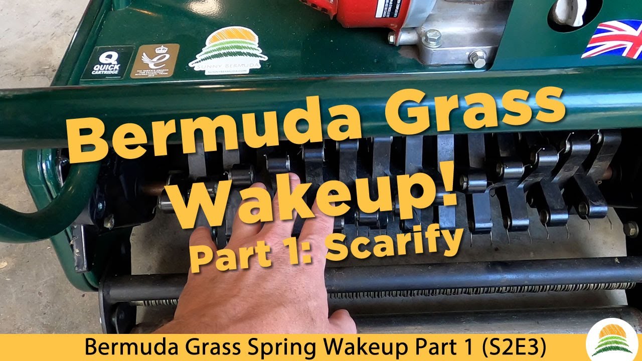 Bermuda Grass Spring Wakeup Part 1: Scarify ☀️ (S2E3) - YouTube