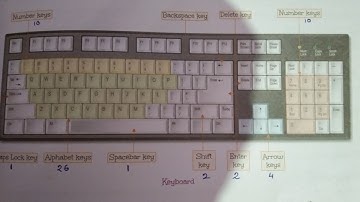 Backspace Key ll Delete Key ll Basic difference between backspace Key and Delete key