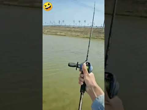 ВЫКИНУЛ МУЛТ и