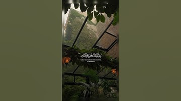 {وَإِنَّ رَبَّكَ لَذُو فَضْلٍ عَلَى النَّاسِ وَلَٰكِنَّ … } تلاوة خاشعة للشيخ سعد الغامدي