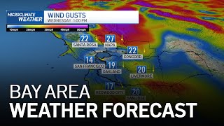 Bay Area Forecast: Breezy, Warmer and Your Allergies
