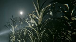 Outlast 2 cornfield chasing theme (34 Minutes+ Version)