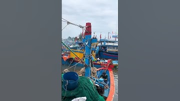 Ngư dân ở biển quảng ngãi trúng cá cơm siêu đậm đặc #food #dacsanmientrung #amthuc #quangngai