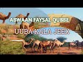 Abwaan Faysal Qube Iyo Gabaygii UUBA KALA JEEX